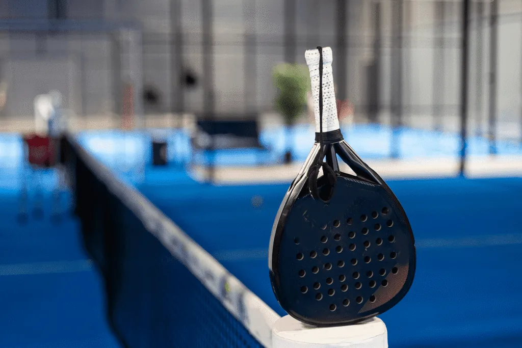 paddle positioned on top of a net.